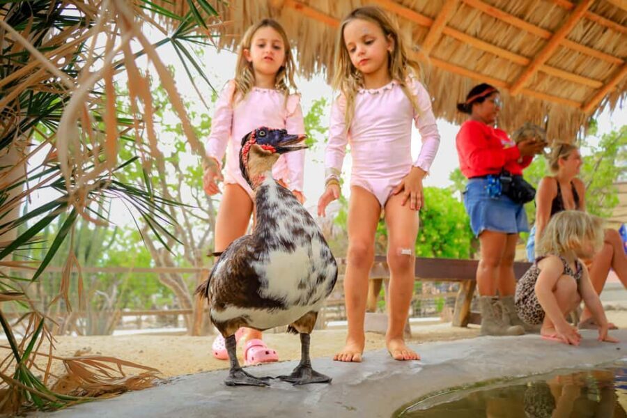 Los Cabos: Animal Encounter & Aqua Park Adventure - Key Highlights You’ll Care About