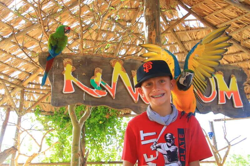 Los Cabos: Animal Encounter & Aqua Park Adventure - Who This Tour Fits Best