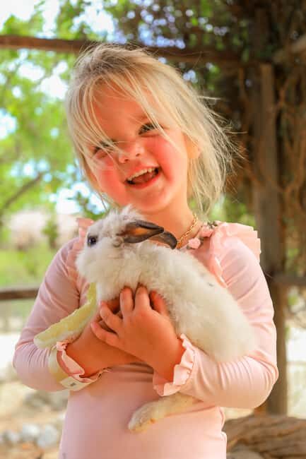 Los Cabos: Animal Encounter & Aqua Park Adventure - Wild Canyon’s Kingdom: What Makes This Animal Park Different