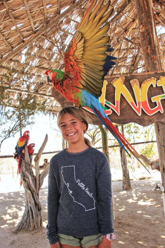Los Cabos: Animal Encounter & Aqua Park Adventure - The Guided Portion: Safety, Wildlife Viewing, and Real Ecology Talk