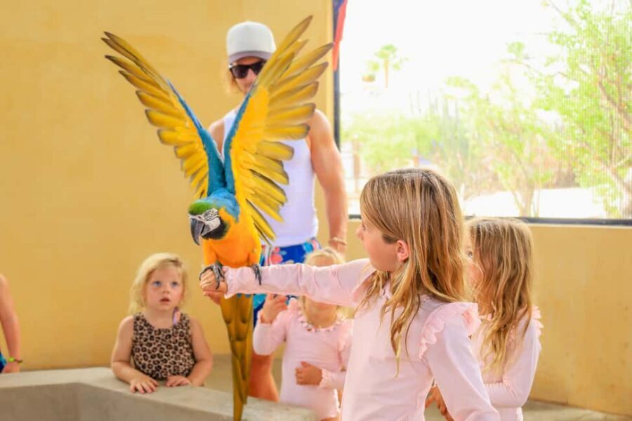 Los Cabos: Animal Encounter & Aqua Park Adventure - Interactive Stations: Iguanas, Birds, Turtles, Macaws, and Camel Time