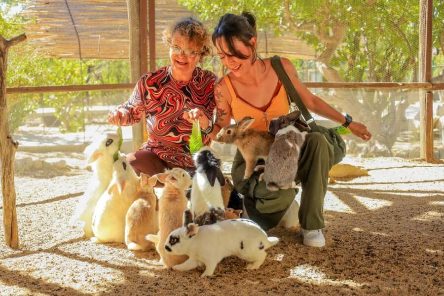 Los Cabos: Animal Encounter & Aqua Park Adventure - The Hanging Bridge + Walk Time: A Break From Animal Overload