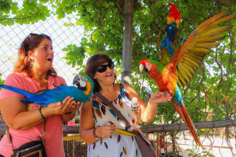 Los Cabos: Animal Encounter & Aqua Park Adventure - The “4 Hours” Reality: How Your Time Actually Flows