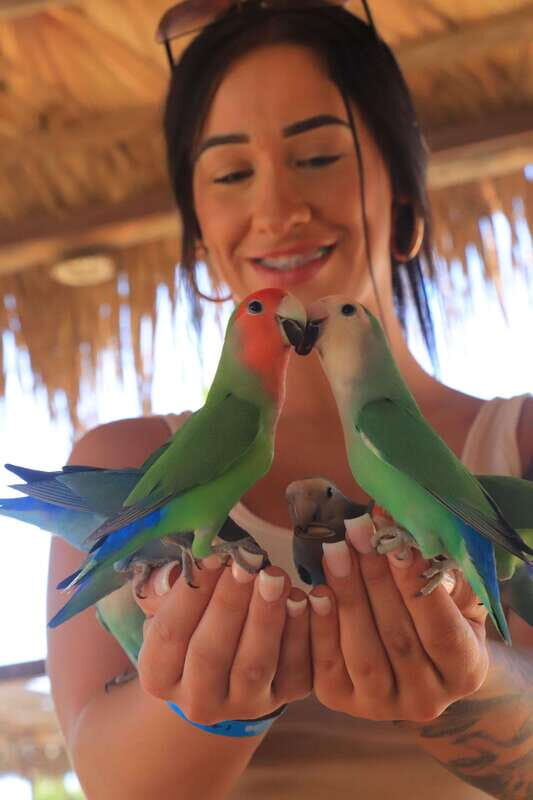 Los Cabos: Animal Encounter & Aqua Park Adventure - Price and Add-Ons: Does $115 Make Sense?