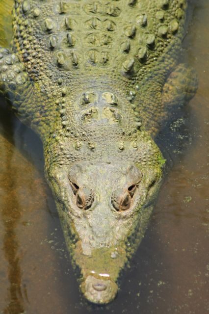 Los Cabos: Animal Encounter & Aqua Park Adventure - What to Bring (and What to Skip)