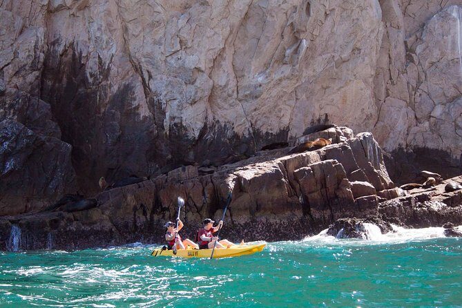 Los Cabos Arch and Playa del Amor Tour by Glass Bottom Kayak - El Arco (The Arch): Sea Lions, Birds, and Close-Up Paddling