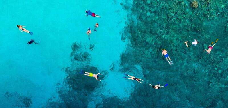Los Cabos Arch & Lover’s Beach Tour + Snorkeling Tour - Pelican Rock snorkeling: what the hour in the water is really like
