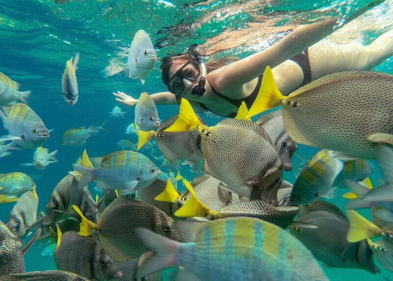 Los Cabos Arch & Lover’s Beach Tour + Snorkeling Tour - Arch of Cabo San Lucas: your photo stop isn’t an afterthought