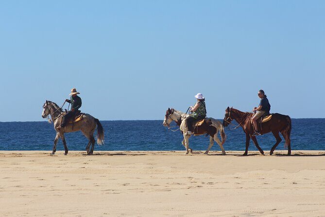 Los Cabos ATV and Pacific Horseback Riding Combo Tour - Ocean views and whales in season: a Baja bonus you should look for