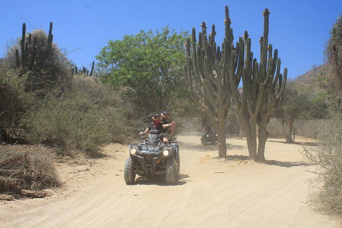 Los Cabos Beach & Desert Tour in Automatic ATV + Tequila Tasting - Price and the Real Cost: Insurance and the $25 Park Fee