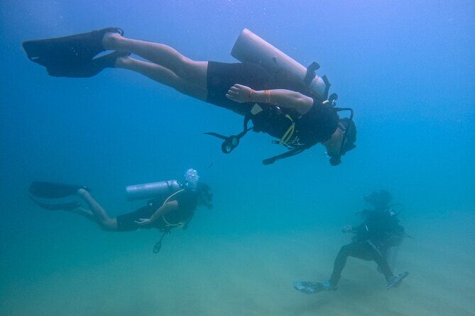Los Cabos Beginner Scuba Dive Experience - Quick highlights you’ll feel right away