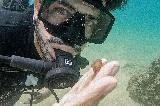 Los Cabos Beginner Scuba Dive Experience - Small group size (max 8) and what it means for your experience