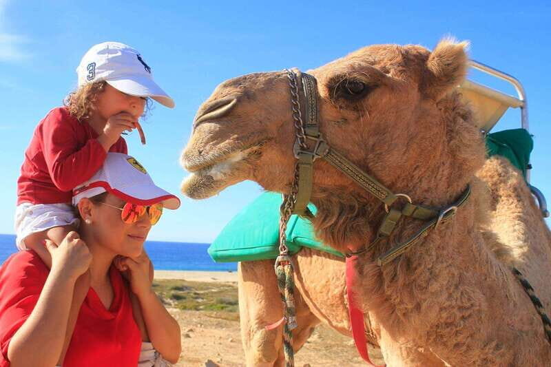 Los Cabos: Camel Ride Safari with Lunch and Tequila Tasting - Key points I think you’ll care about
