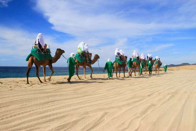 Los Cabos: Camel Ride Safari with Lunch and Tequila Tasting - Lunch Break: Mexican Burrito, Taco-Style Buffet, and Flavored Water