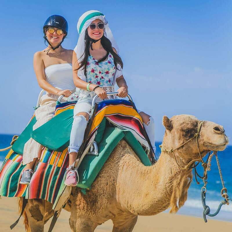 Los Cabos: Camel Ride Safari with Lunch and Tequila Tasting - Tequila Tasting 101: History, Production, and Proper Sipping