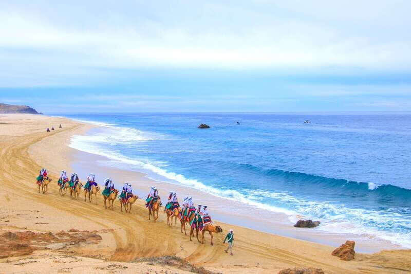 Los Cabos: Camel Ride Safari with Lunch and Tequila Tasting - Price and Logistics: What $140 Covers (and What Costs Extra)