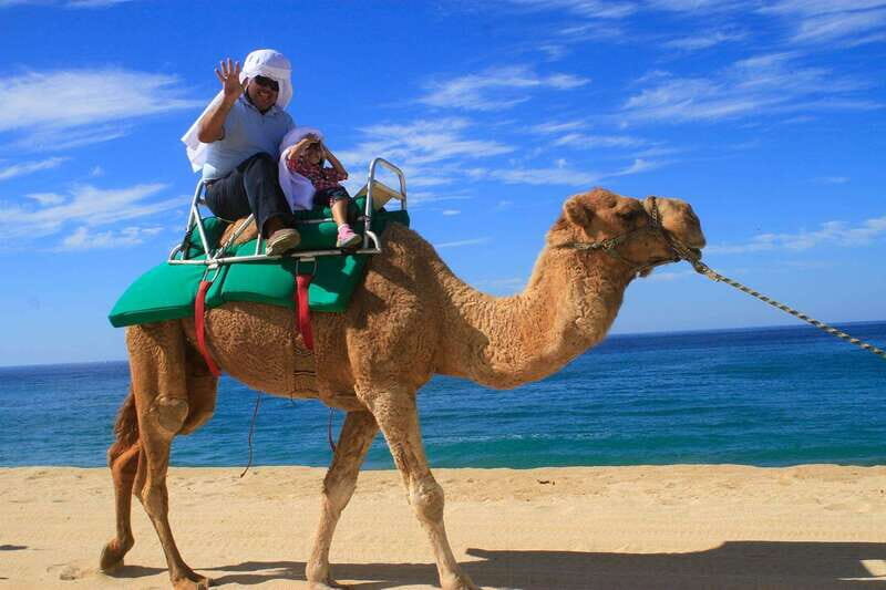 Los Cabos: Camel Ride Safari with Lunch and Tequila Tasting - Who This Tour Suits Best (and Who Should Skip It)