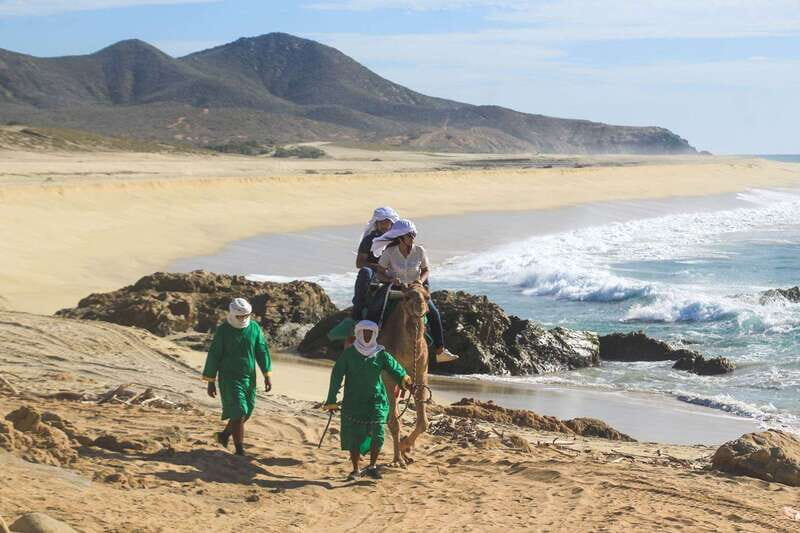 Los Cabos: Camel Ride Safari with Lunch and Tequila Tasting - Should You Book This Los Cabos Camel Safari?