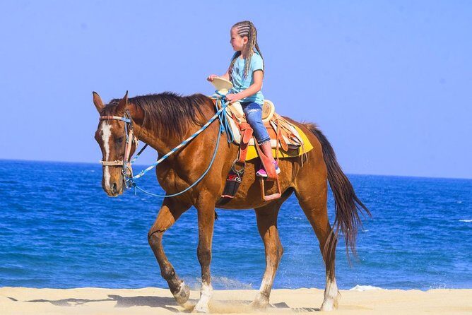 Los Cabos - COMBO Horseback Riding & ATV Tour - The Real Pitch: One Tour, Two Very Different Moods