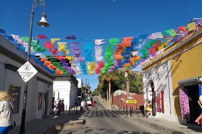 Los Cabos Half-Day Tour Discovering San Jose and San Lucas - Old San Jose to the Arch: what this tour is really like