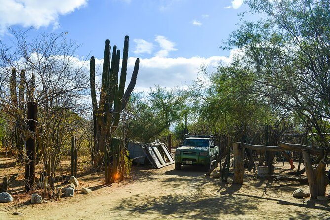 Los Cabos: Hiking at the Fox Canyon with Waterfall - Getting there: pickup timing and the bumpy road reality