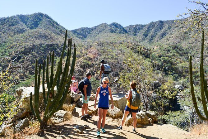 Los Cabos: Hiking at the Fox Canyon with Waterfall - Lunch in Miraflores: tacos, guacamole, and the post-hike fuel you need