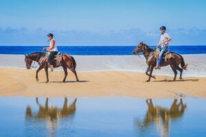Los Cabos Horseback Riding - Price and the Real Budget: $120 Plus Park Admission