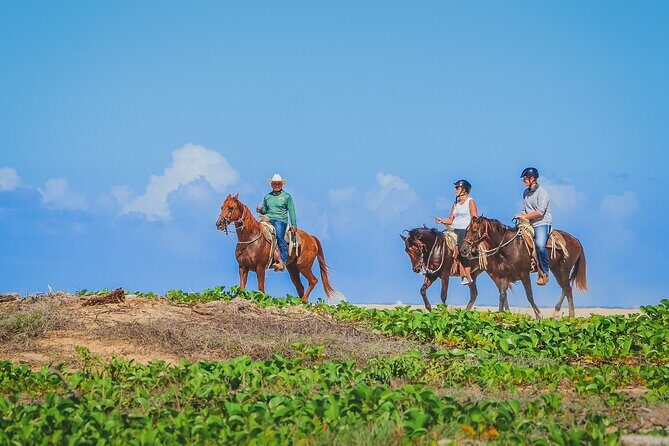 Los Cabos Horseback Riding - Stop 1 at Mexican Federal Highway 19: A Quick Reset Before You Ride