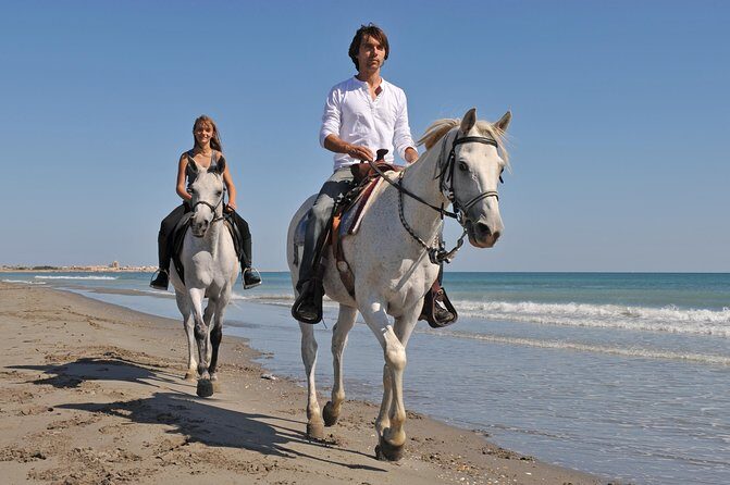 Los Cabos Horseback Riding - Horses, Training, and the Guide Skill That Makes or Breaks It