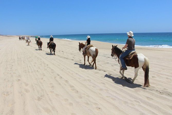 Los Cabos Horseback Riding - Who This Los Cabos Horseback Ride Is Best For