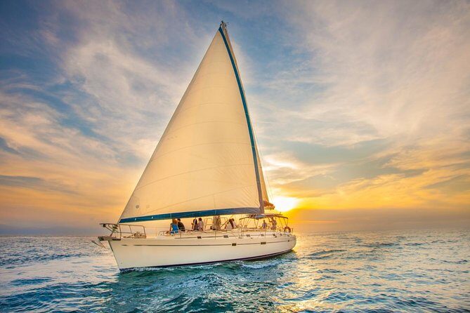 Los Cabos Luxury Sunset Sail with Light Appetizers and Open Bar - El Arco de Cabo San Lucas: where the sea lions steal the show