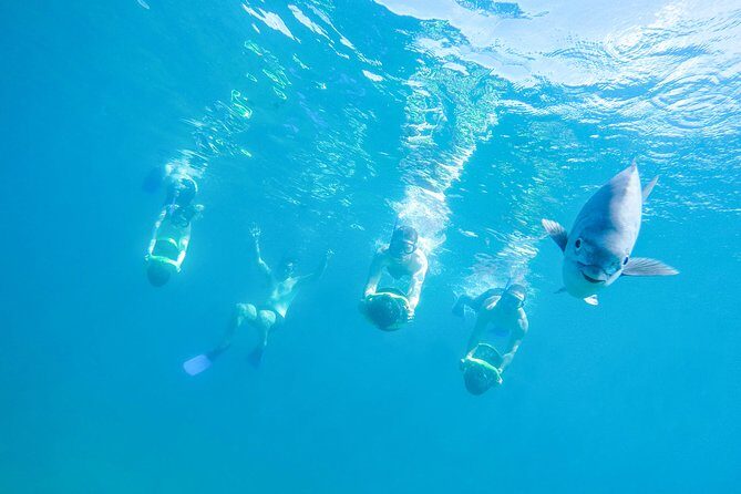 Los Cabos Power snorkel Adventure, Kayaking and Stand-Up Paddle - Entering the water: what this tour feels like on the day