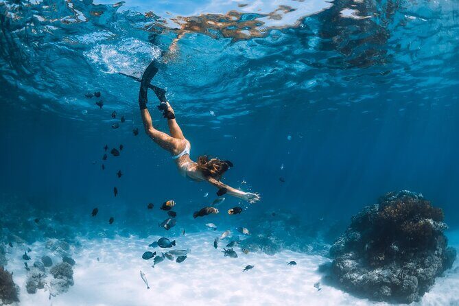 Los Cabos Power snorkel Adventure, Kayaking and Stand-Up Paddle - El Arco: the quick landmark stop that can steal the show