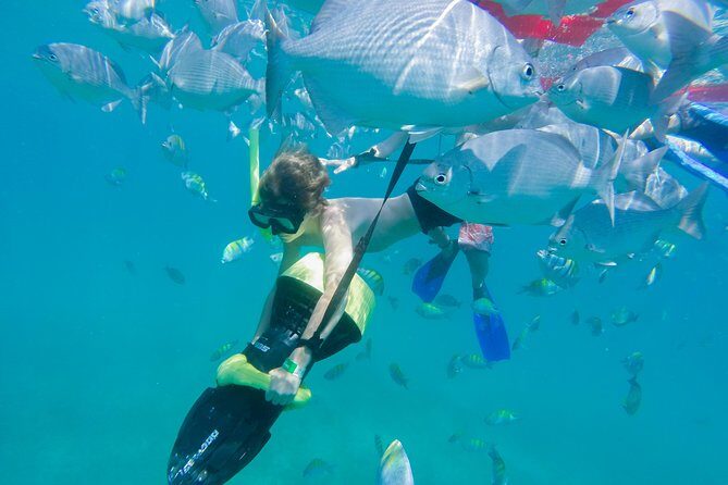 Los Cabos Power snorkel Adventure, Kayaking and Stand-Up Paddle - Snacks on board: what the quesadillas really add