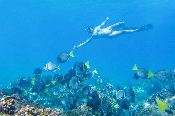 Los Cabos Power snorkel Adventure, Kayaking and Stand-Up Paddle - Price and logistics: what you’ll likely pay in real life