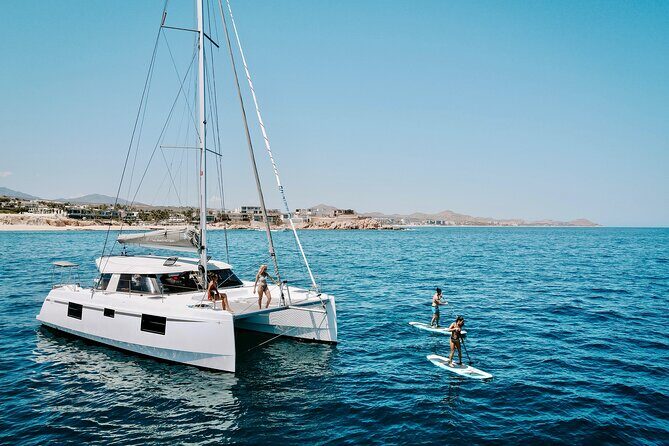 Los Cabos Seasonal Whale Watch and Snorkel Tour - Key takeaways before you sail
