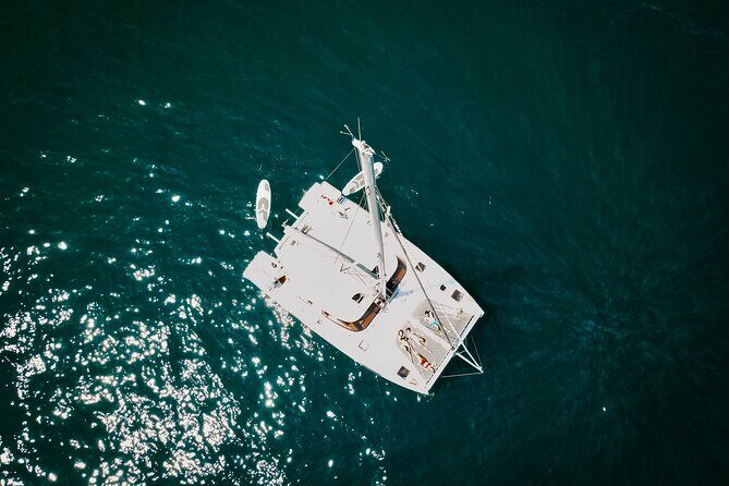 Los Cabos Seasonal Whale Watch and Snorkel Tour - Stops and timing: how the day typically flows