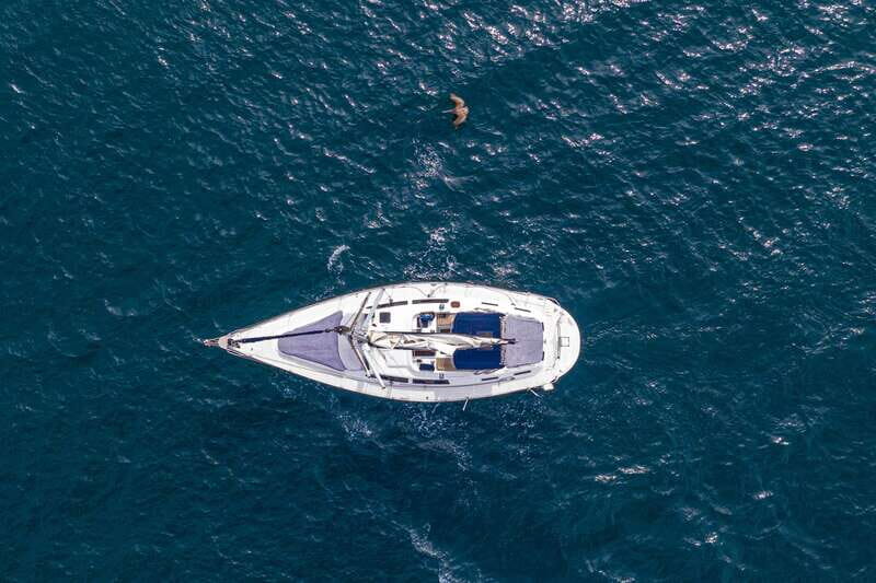 Los Cabos: Shared Sunset Sailing Cruise - Photo-Friendly Crew Service: Attentive, Bilingual, and Good at Timing