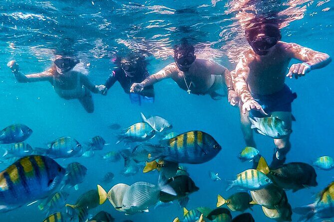 Los Cabos Snorkeling Tour by Speed Boat with Photos Included - Key highlights you’ll care about