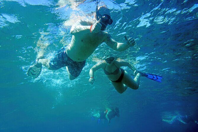 Los Cabos Snorkeling Tour by Speed Boat with Photos Included - Meeting at Baja Vikings Ecoventures: find the dock without guessing