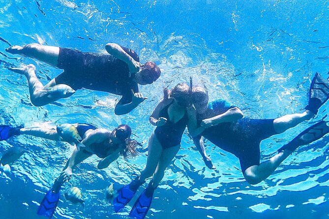 Los Cabos Snorkeling Tour by Speed Boat with Photos Included - Snorkeling support for beginners and nervous swimmers