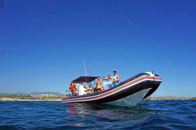 Los Cabos Snorkeling Tour by Speed Boat with Photos Included - Wildlife chances: whales, rays, turtles, sea lions, and more