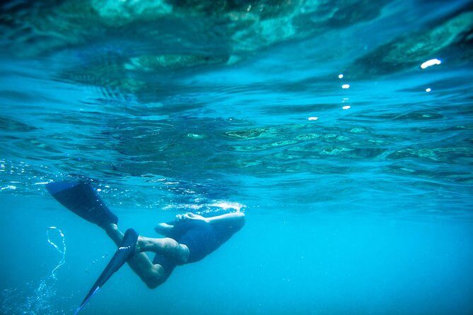 Los Cabos Snorkeling Tour to Chileno Bay and Santa Maria Cove - Chileno Bay: gentle waves, reef corners, and coral spotting