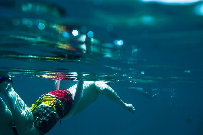 Los Cabos Snorkeling Tour to Chileno Bay and Santa Maria Cove - What to bring (and what not to waste time on)