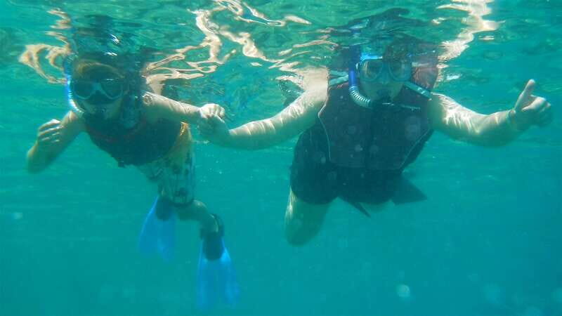 Los Cabos: The Arch and Lover's Beach Kayaking + Snorkeling - Snorkeling off Neptune’s Finger or Pelican Rock: what you’ll likely see