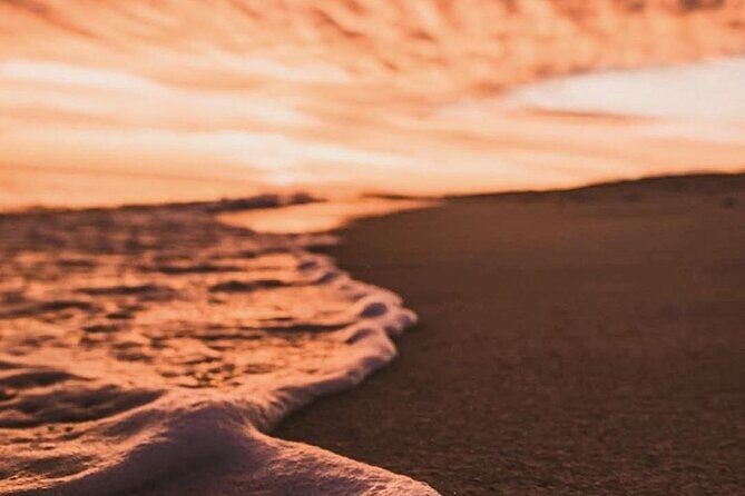 Los Cabos turtle release conservation program - Logistics that can make or break your evening