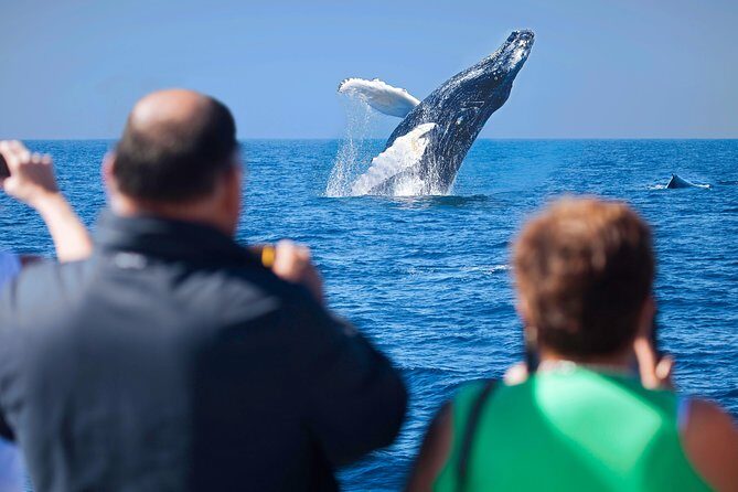 Los Cabos Whale Watching Cruise Including Breakfast - Breakfast first: what the morning feels like on this catamaran