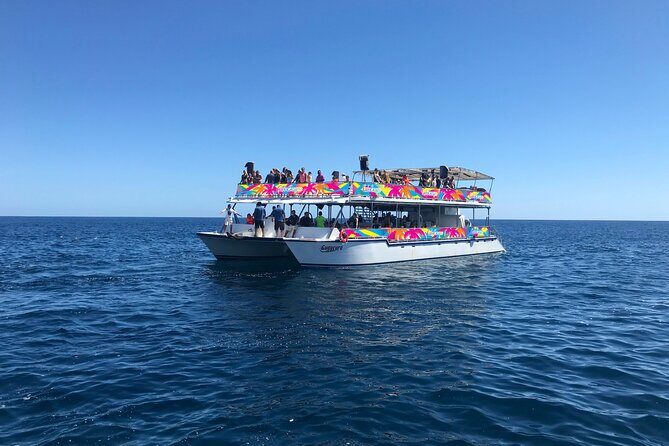 Los Cabos Whale Watching Cruise Including Breakfast - Logistics that matter: timing, meeting point, and group size