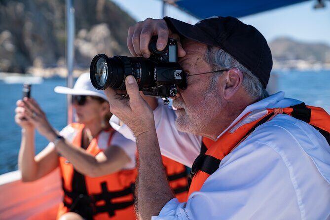 Los Cabos Whale Watching (Transportation and Pictures Included) - Setting Off From the Marina: What D Dock Gets You Ready For