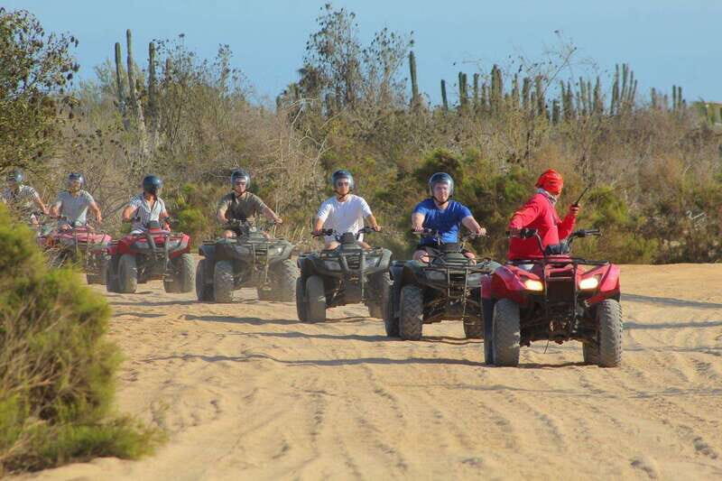 Los cabos:ATV beach&desert with transfer & tequila tasting - Wildlife Lessons on the Trail: Flora, Fauna, and Seasonal Behavior